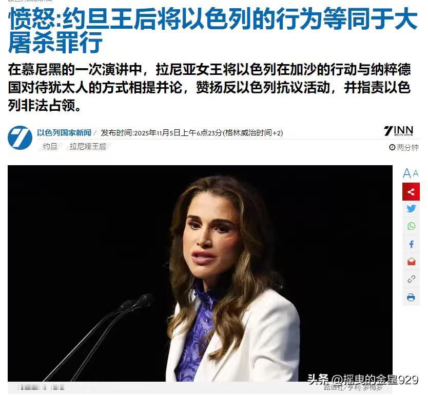 将以色列在加沙的行动与纳粹德国对待犹太人的方式相提并论，指责以色列非法占领——约