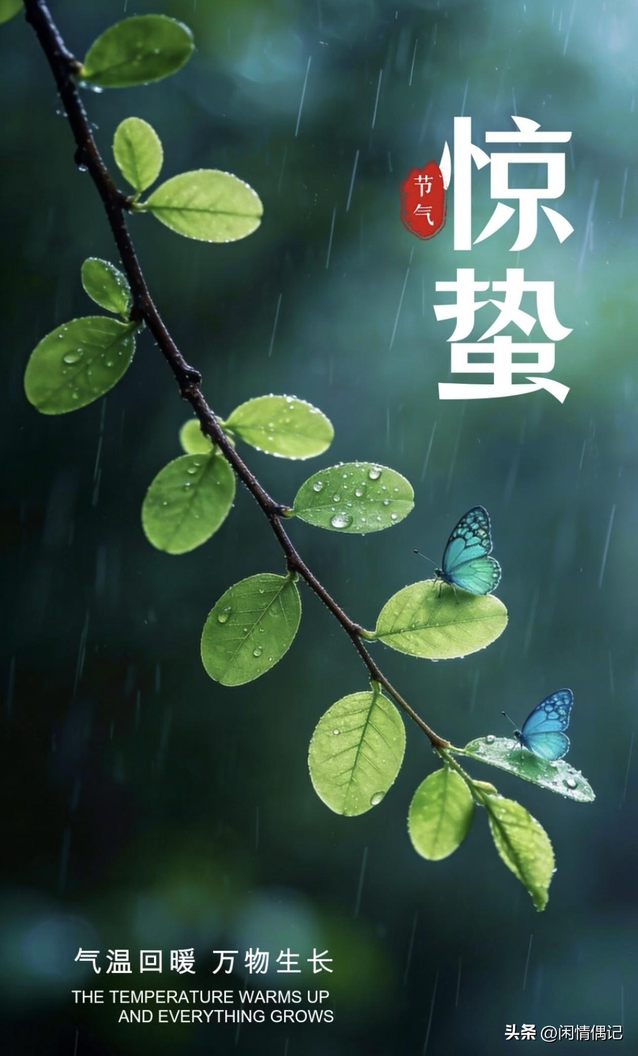 今儿是惊蛰。

老话讲“春雷响，万物长”，听着窗外那几声闷雷，感觉整个人都精神了