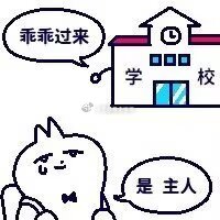 感觉上学是一场巨大的强制爱 