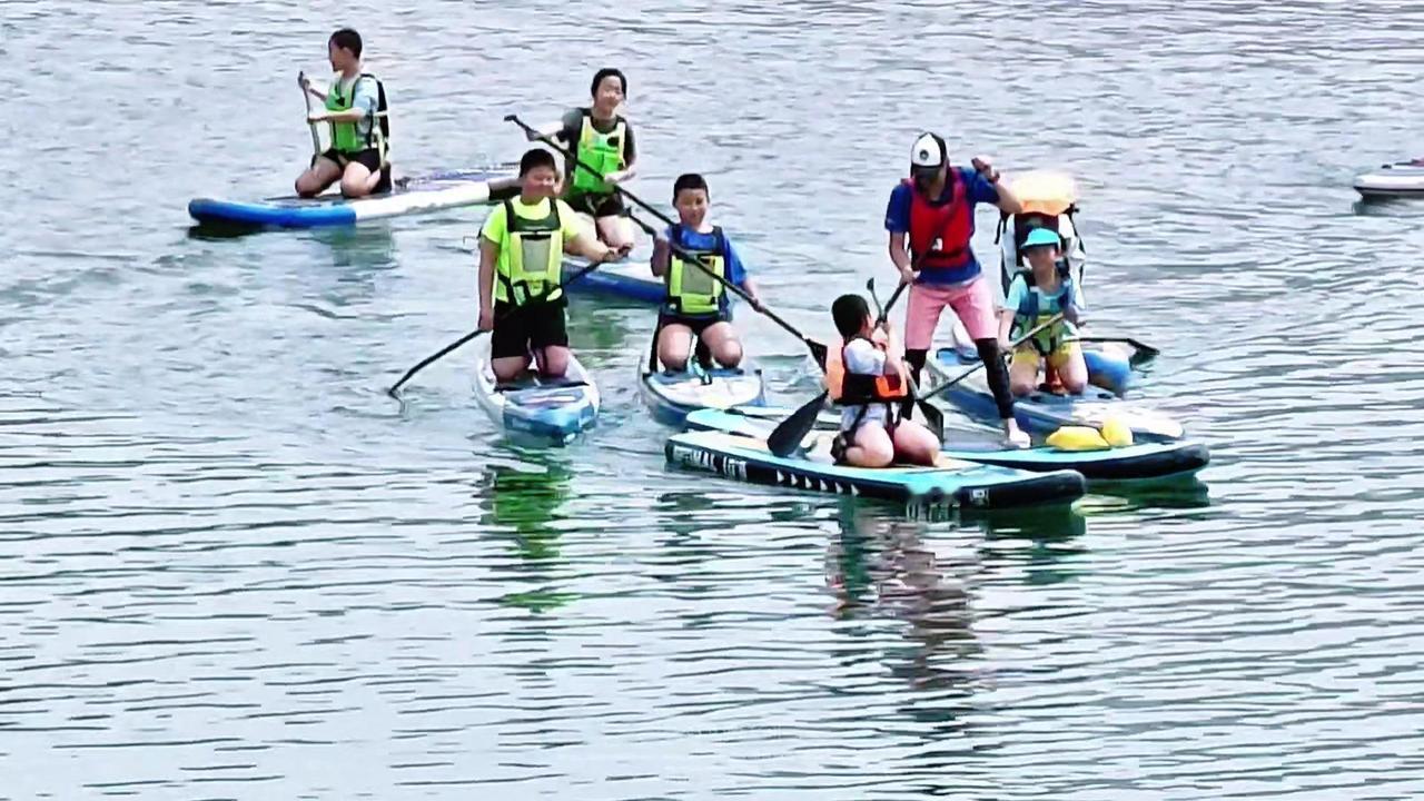 💦划着桨板穿梭郁金香花海，就像闯入童话世界！水面波光粼粼，花海随风摇曳，每一片