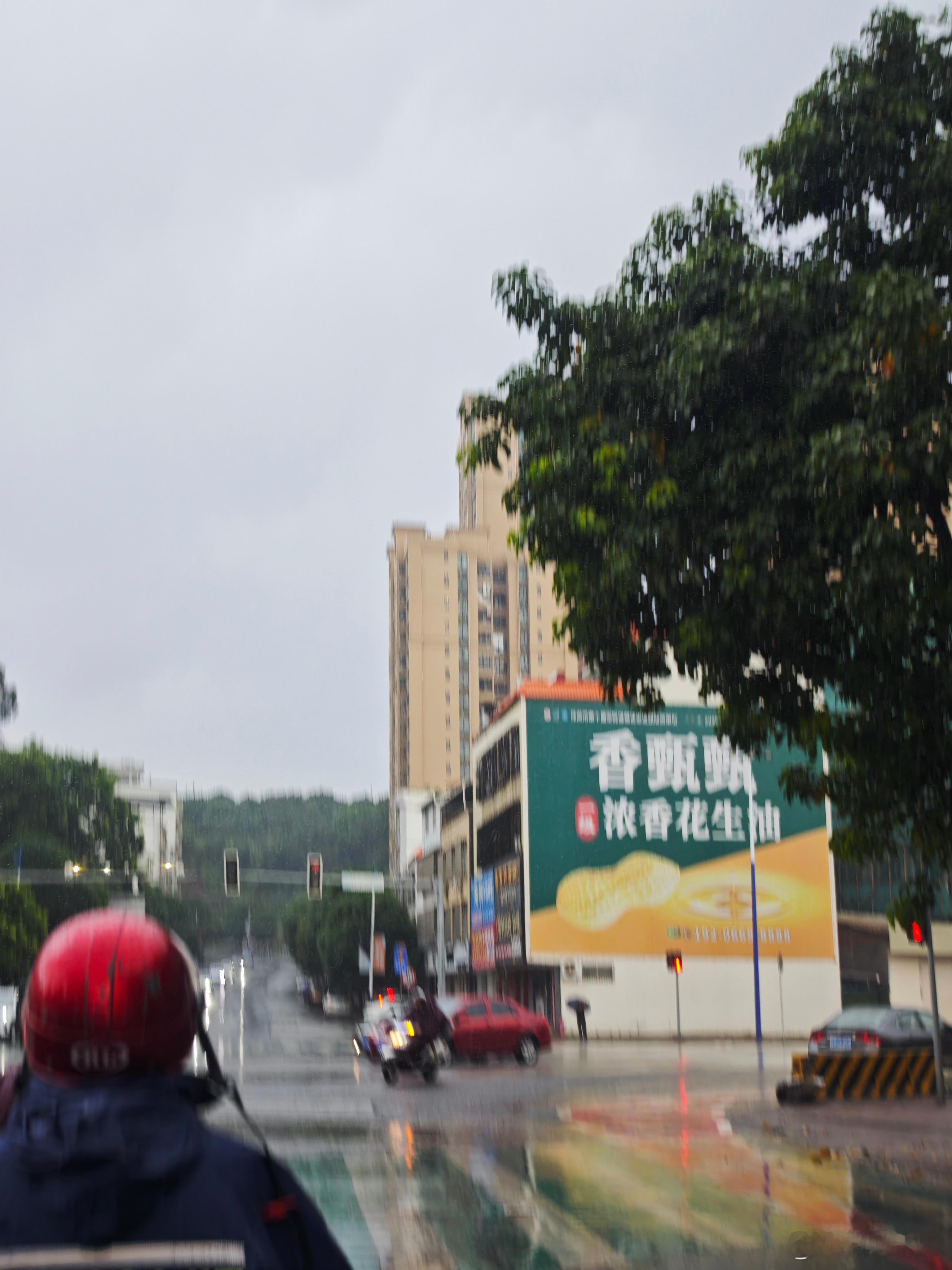 热爆了，早上终于下雨了 
