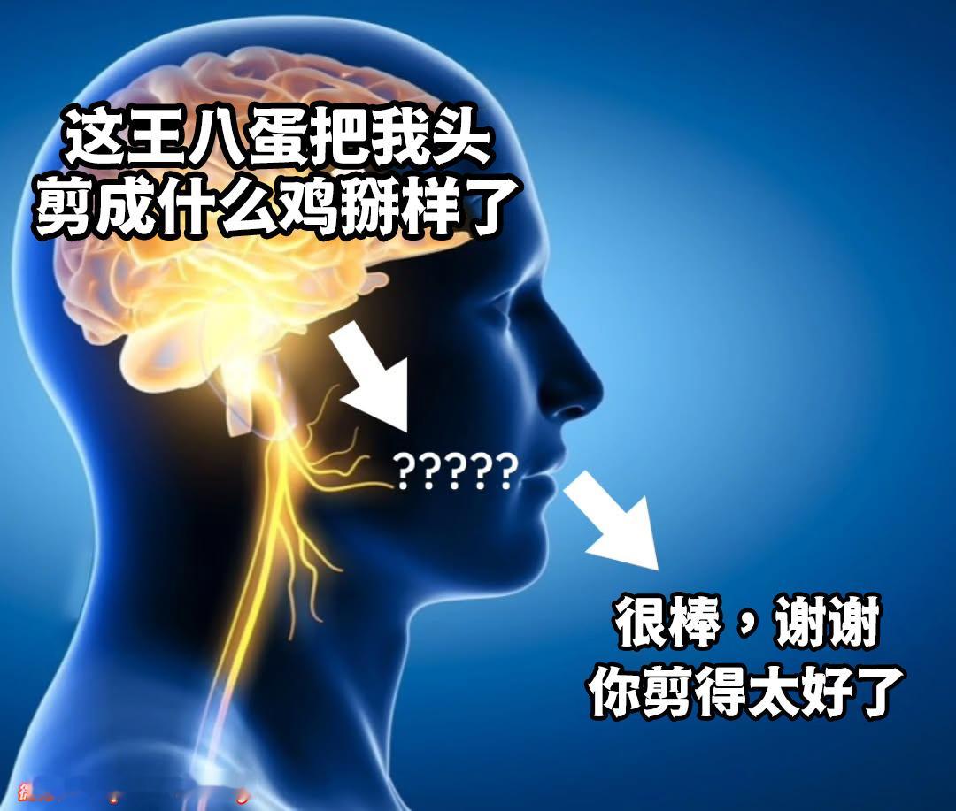 这跟本就是我meme ​​​