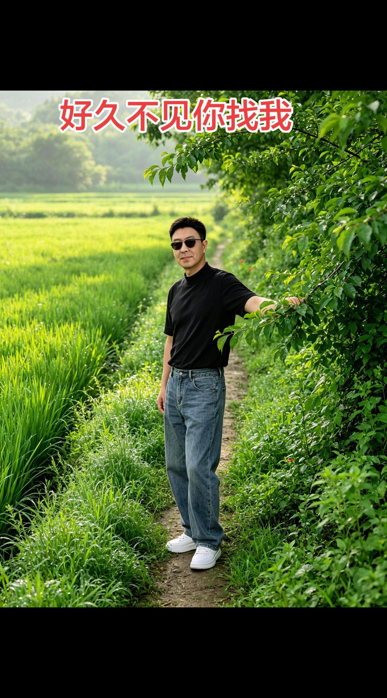 好歌分享，好久不见你找我。AI绿野清新风