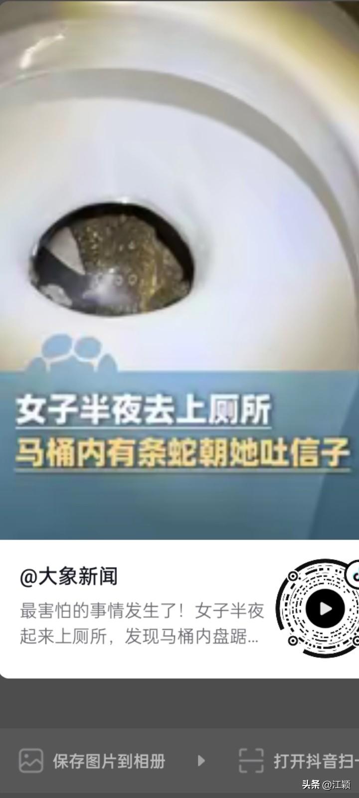 最害怕的事，莫过于半夜你去上厕所，发现马桶里有一条蛇正在向你吐信子。
近日，江苏