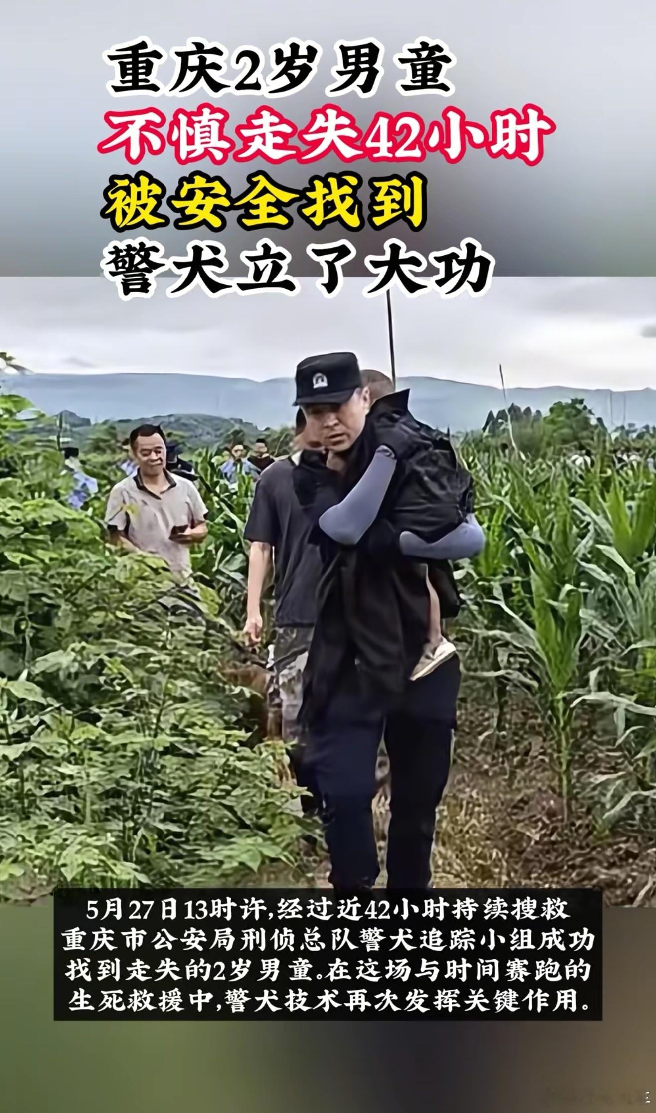 模样最凶的狗狗救下2岁男童不愧是警犬，它们是无言的英雄，真的要给它加鸡腿🍗 ​