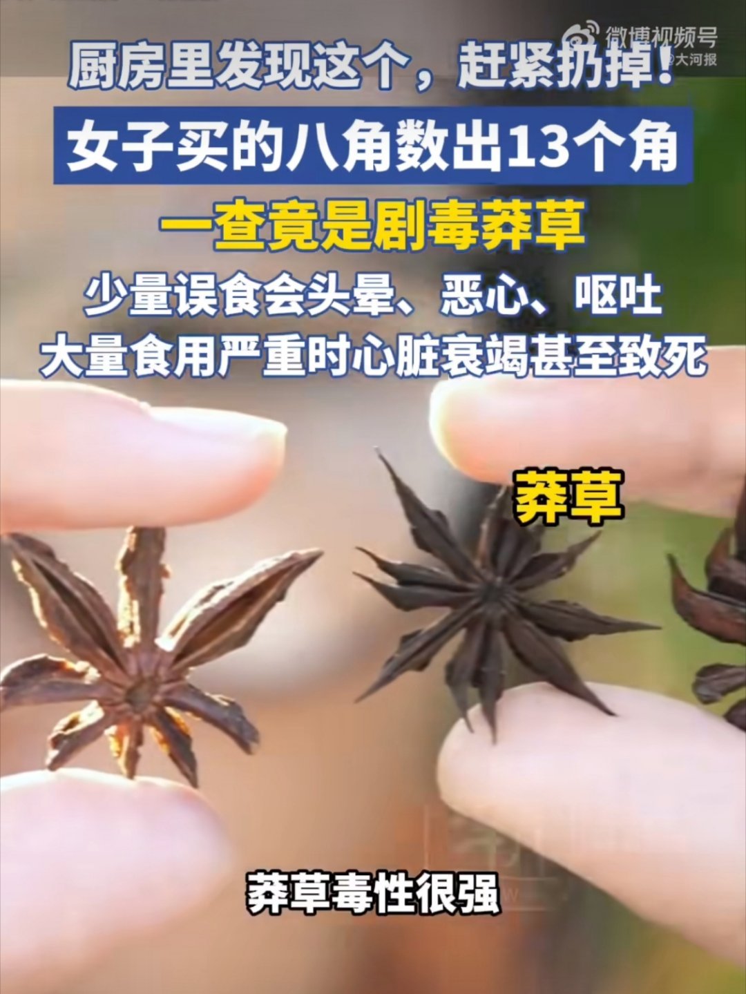 女子买的八角数出13个角竟有剧毒记得曾经刷到过对比，这个太危险了，以后用八角之前