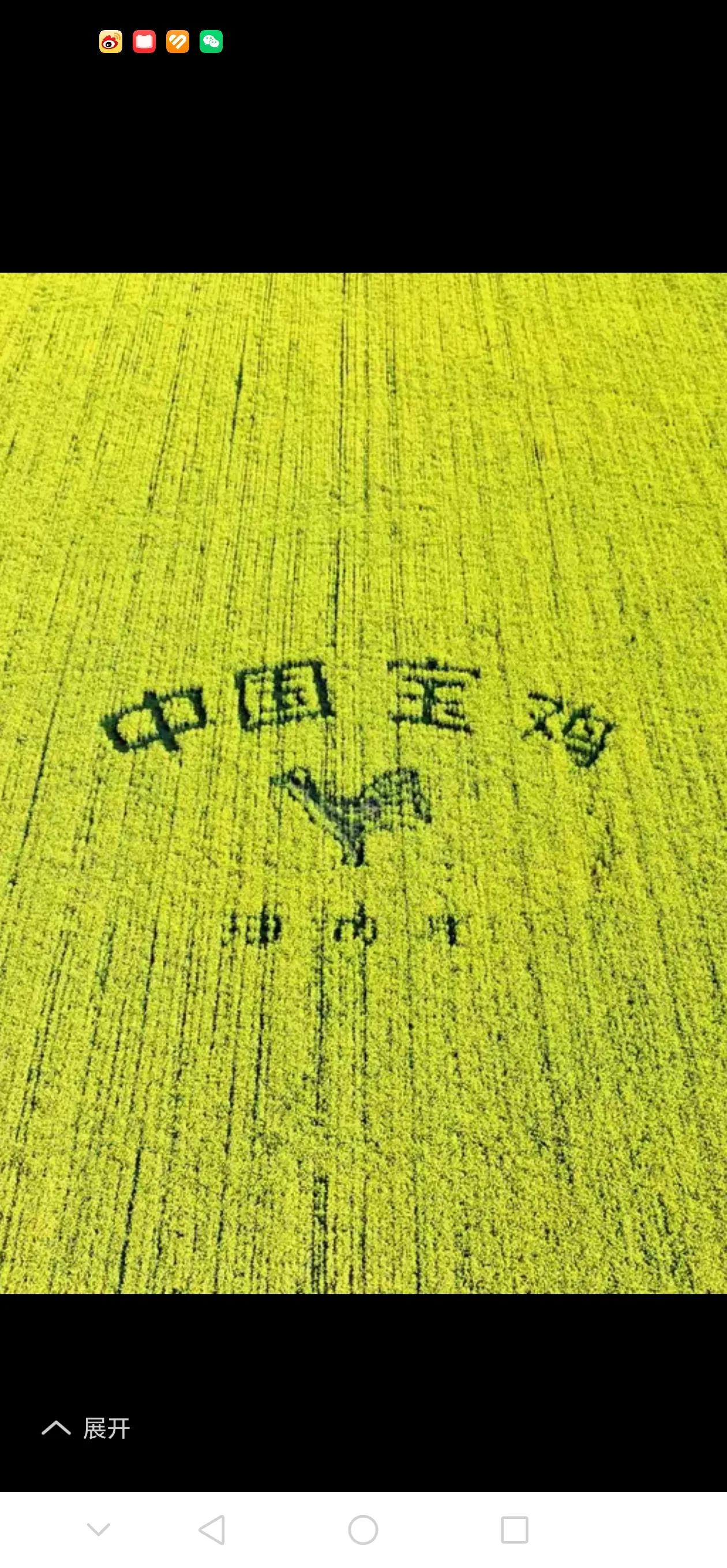 渭北岐山扶风周原的油菜花绿意盎然了三千年，迎来了地下中国王朝第一城周城的考古新发