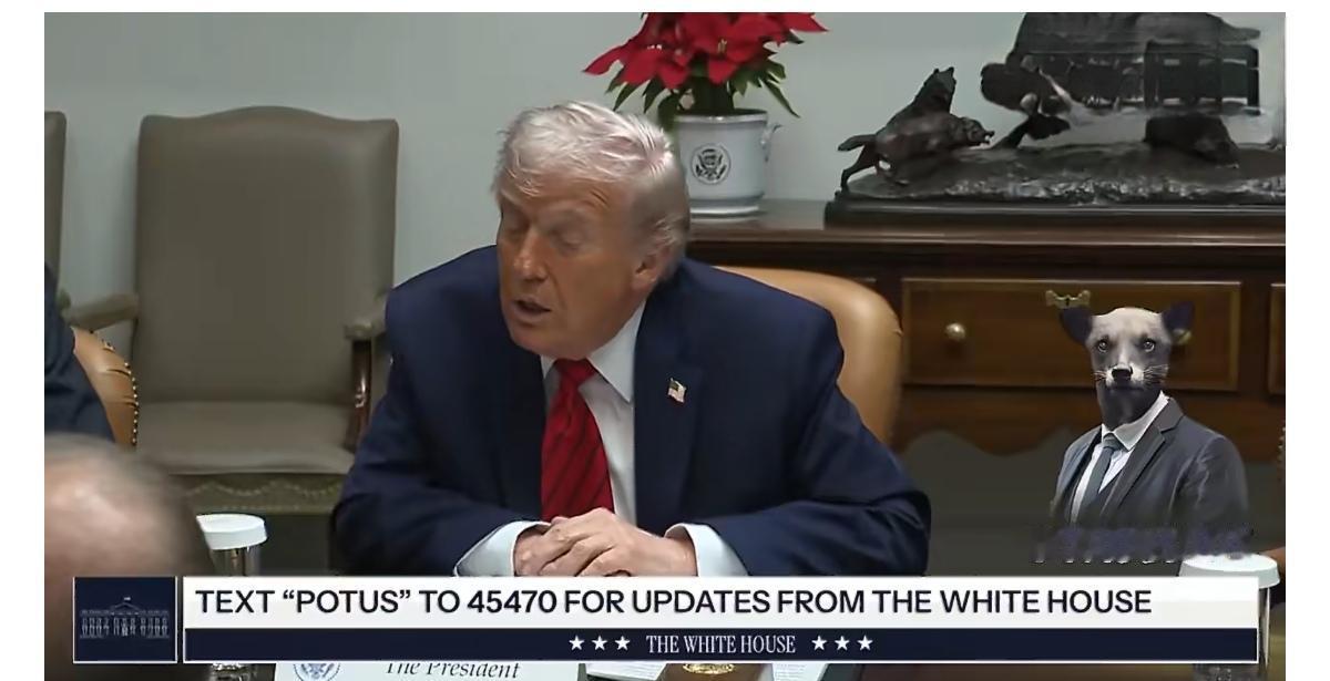 美国总统特朗普在谈到乌克兰选举作为和平解决方案的一部分的问题时表示：“我觉得他（