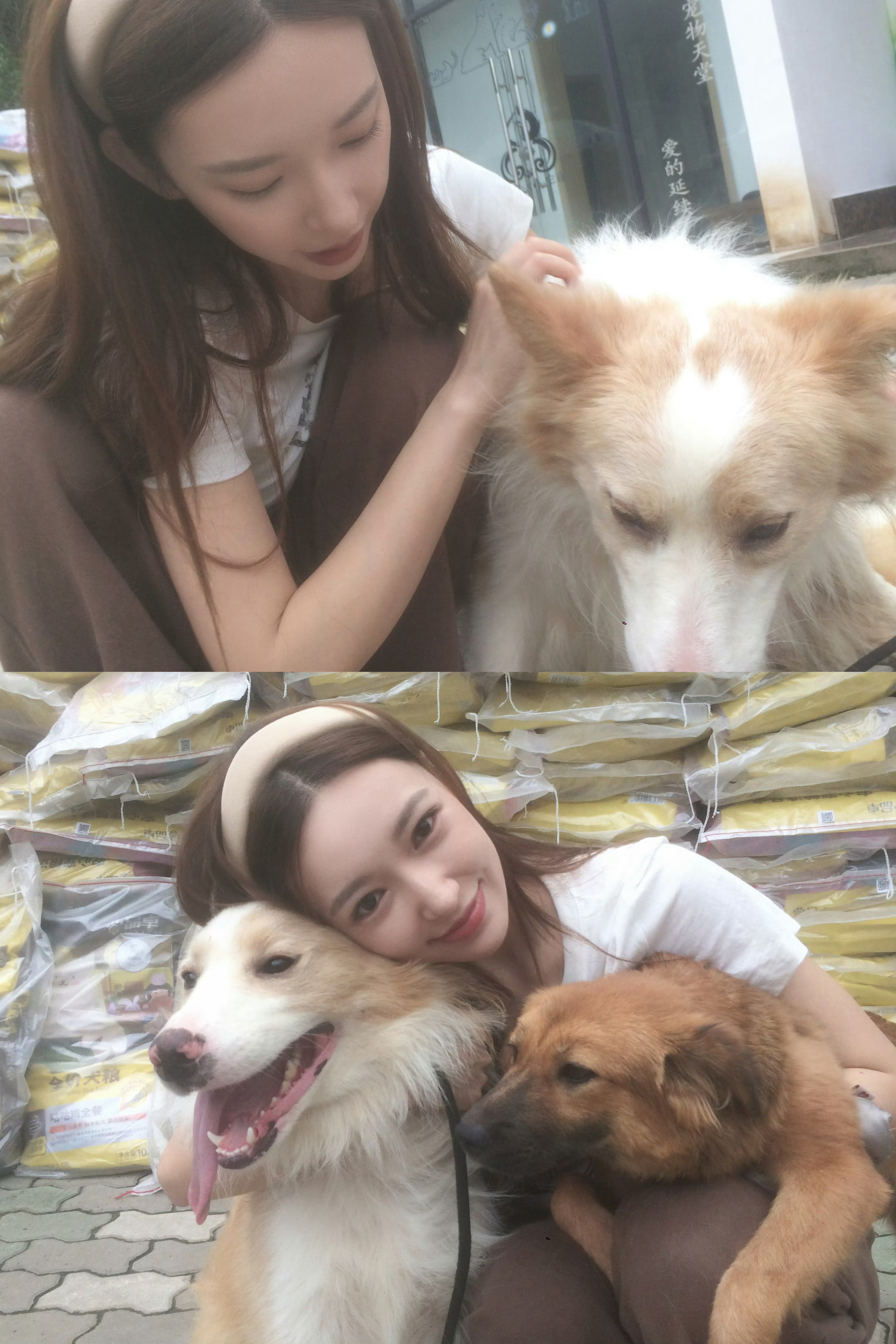 女孩我保证你是天使 