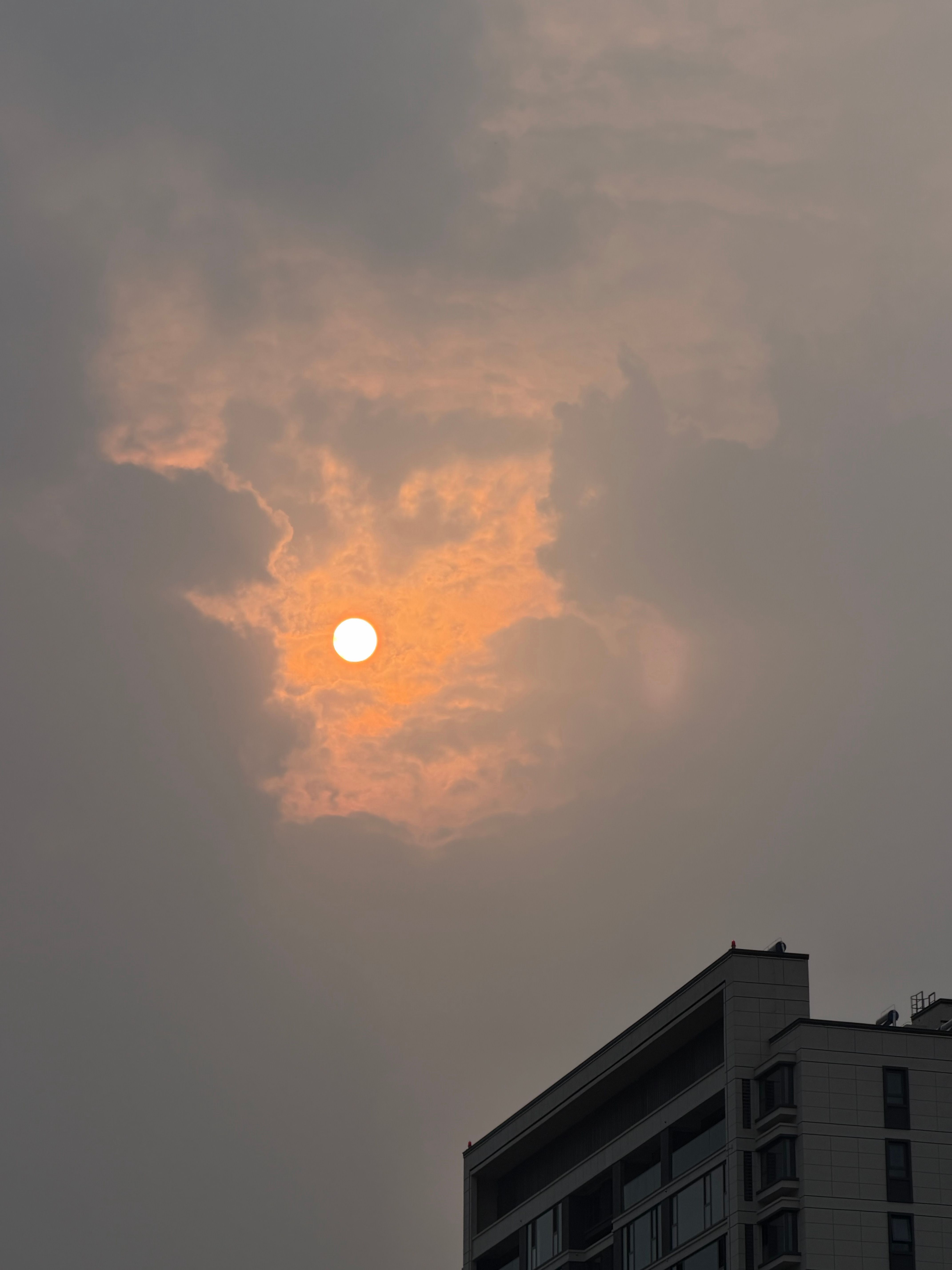 🌅 