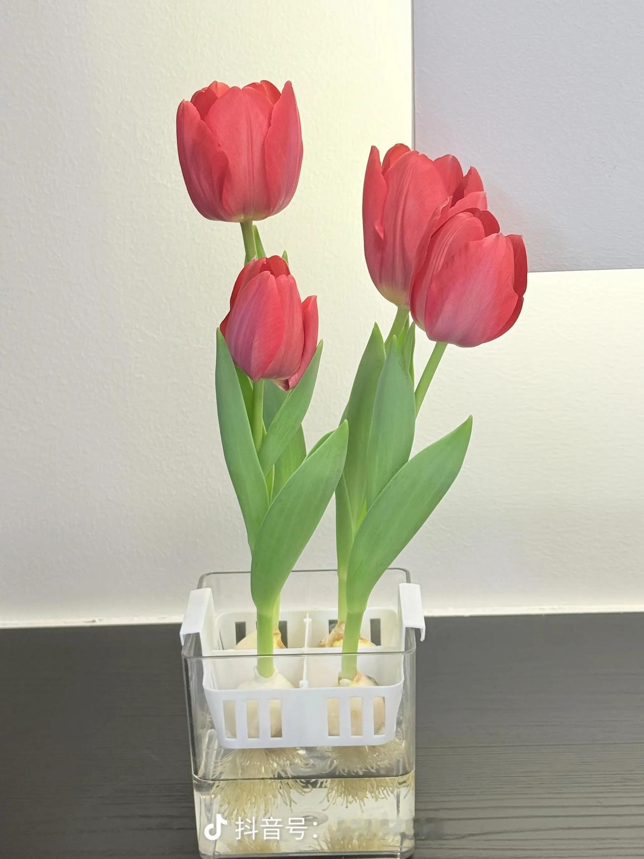 女人一生的执念

金镯子

房子

车子

存款

儿女双全

驾驶证

大家都