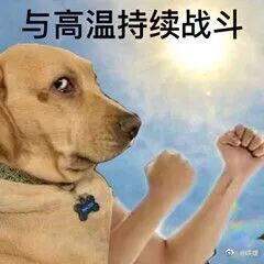 我要热疯了 