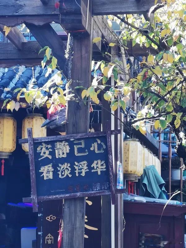请用一句话概括一下，什么是幸福心有安处，家人相伴，平淡安稳，便是幸福