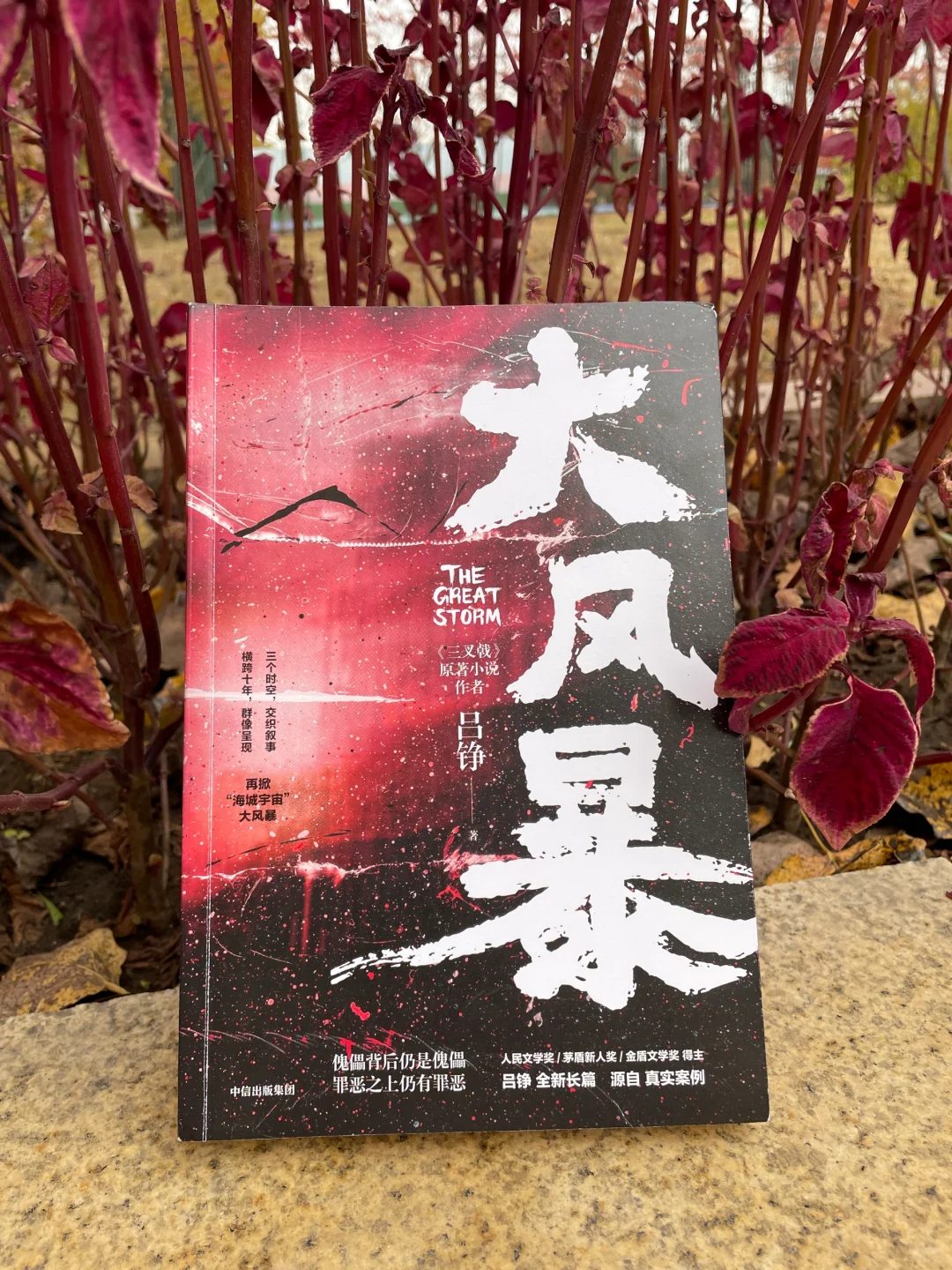 我敢说这本要拍成电视剧绝对好看！