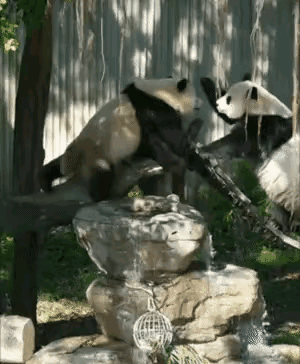 奇三妹的胆是不是越来越肥了？居然敢给妈妈124[打脸]我看她真的是在讨打的路上策