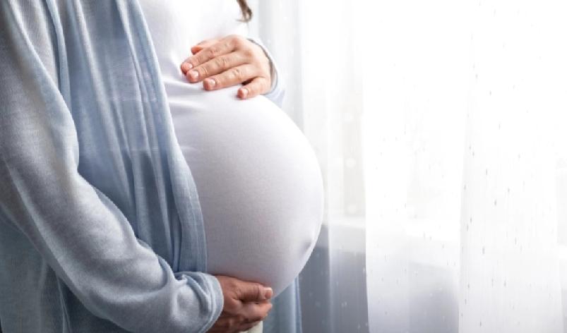 怀孕新抱遭质疑出轨，打算堕胎并离婚。老爷为保未出世的孙儿和儿子的婚姻，不惜转账6