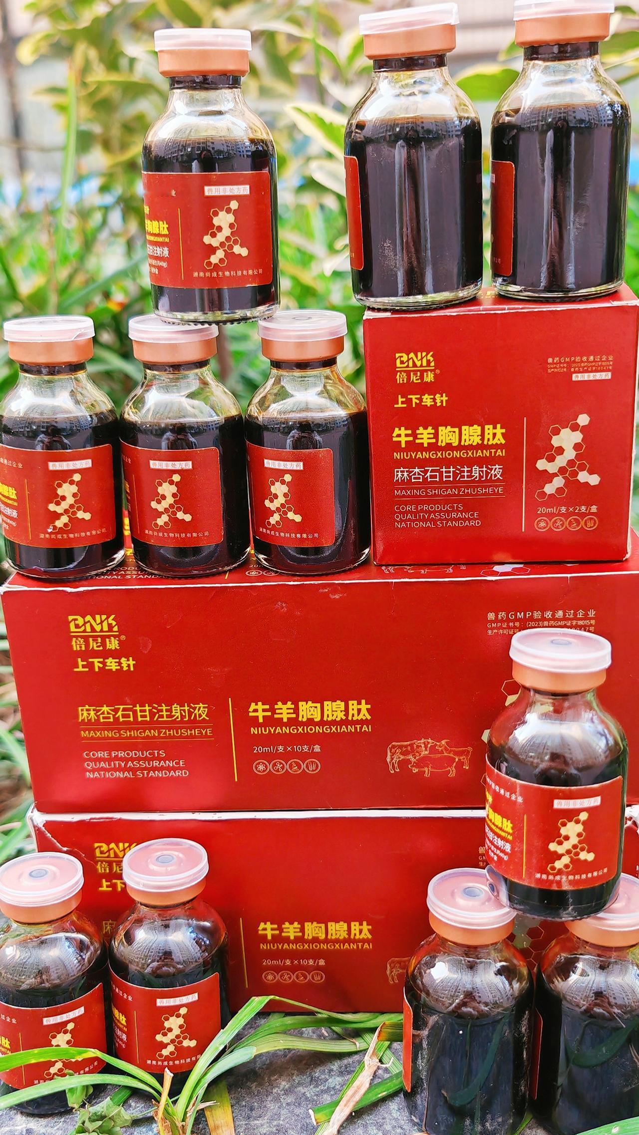 养羊人 农村养羊 农村养羊创业