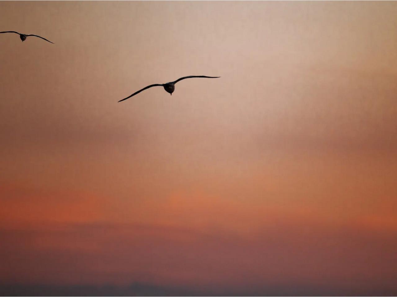 快来看看我新换的主页背景吧