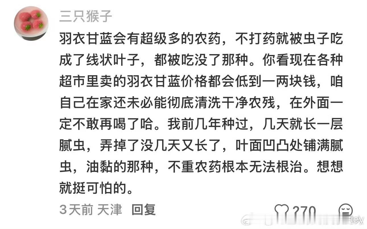 羽衣甘蓝 农药还好我试过一次羽衣甘蓝，一次羽衣甘蓝饮料，都觉得不好吃，从此就不吃