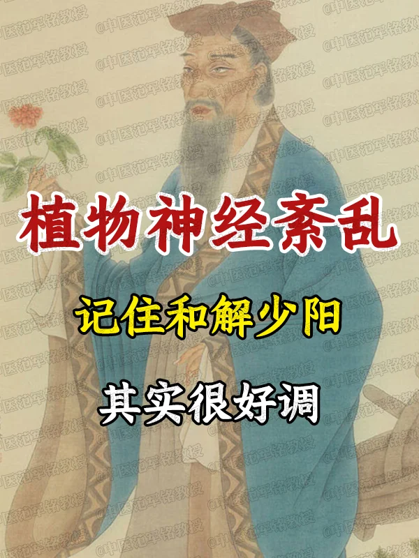 植物神经紊乱，记住和解少阳，其实很好调