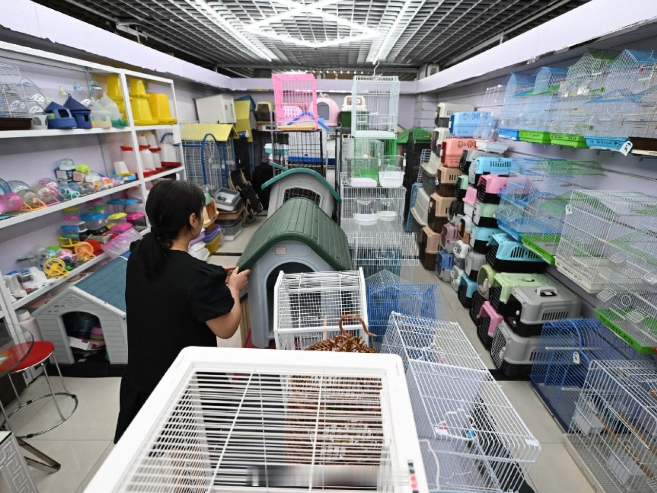 香港寵物節2026 「香港宠物节 明日起舉行..策展人：寵物產品及服務越來越多元