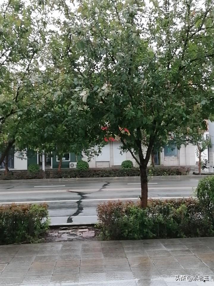 小雨下了一天。午后我撑着伞去逛街。

雨不大，但是地皮也湿了，坑洼的地方存了水，