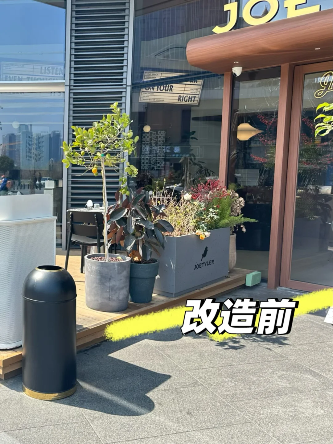绿植造景|温州花店