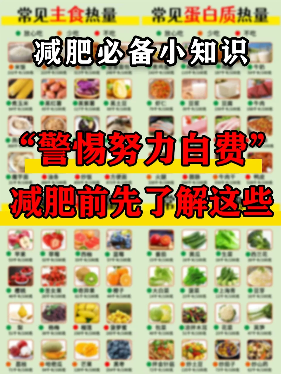 🔥警惕减肥失败🔥减肥前先了解这些~