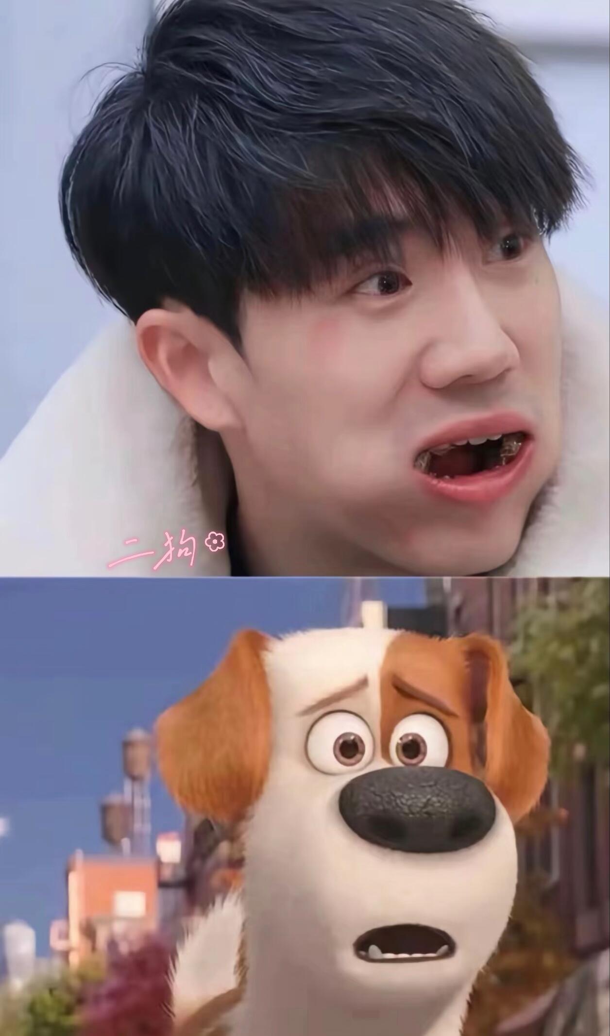 谁还有他们的这样式的图片呀？别人好多猫猫狗狗塑，我们卓沅只有垃圾车起重车大吊车十