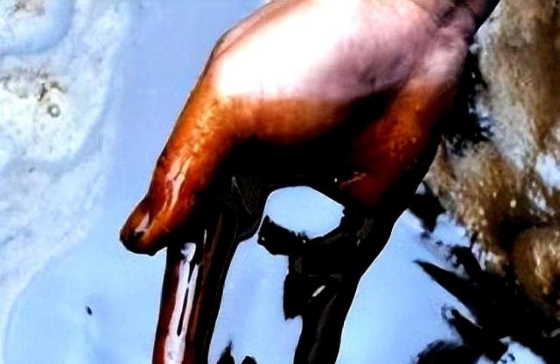 火葬场产生的“尸油”去了哪里？很多人不知道，尸体在燃烧的时候会产生“尸油”，但这