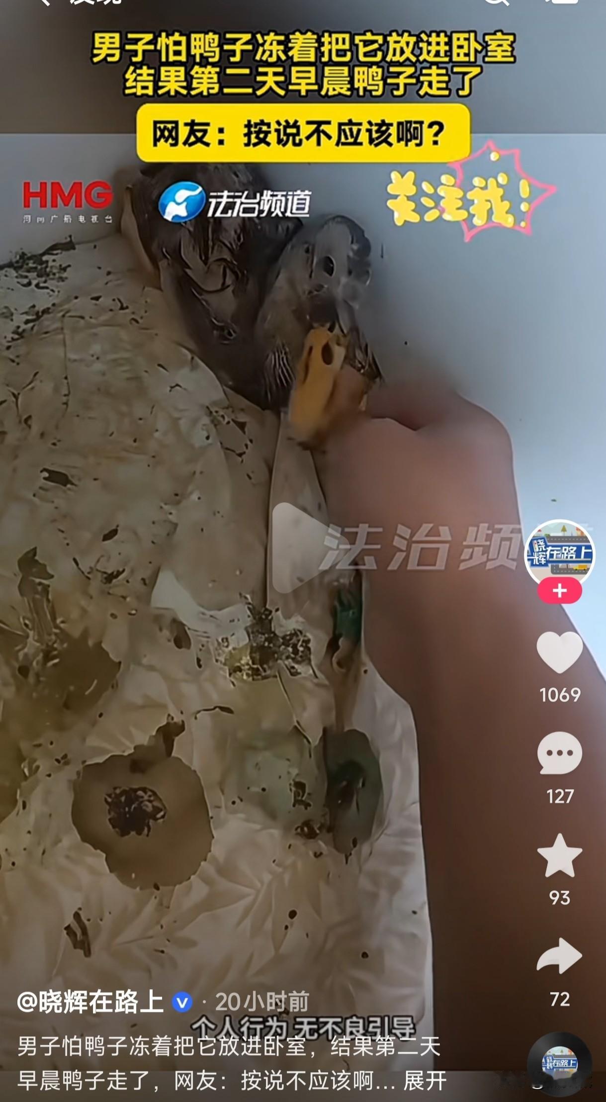 男子买了一只鸭子怕把它冻死，放进衣柜里还给它铺了一个被子，早上起来查看时没想到鸭