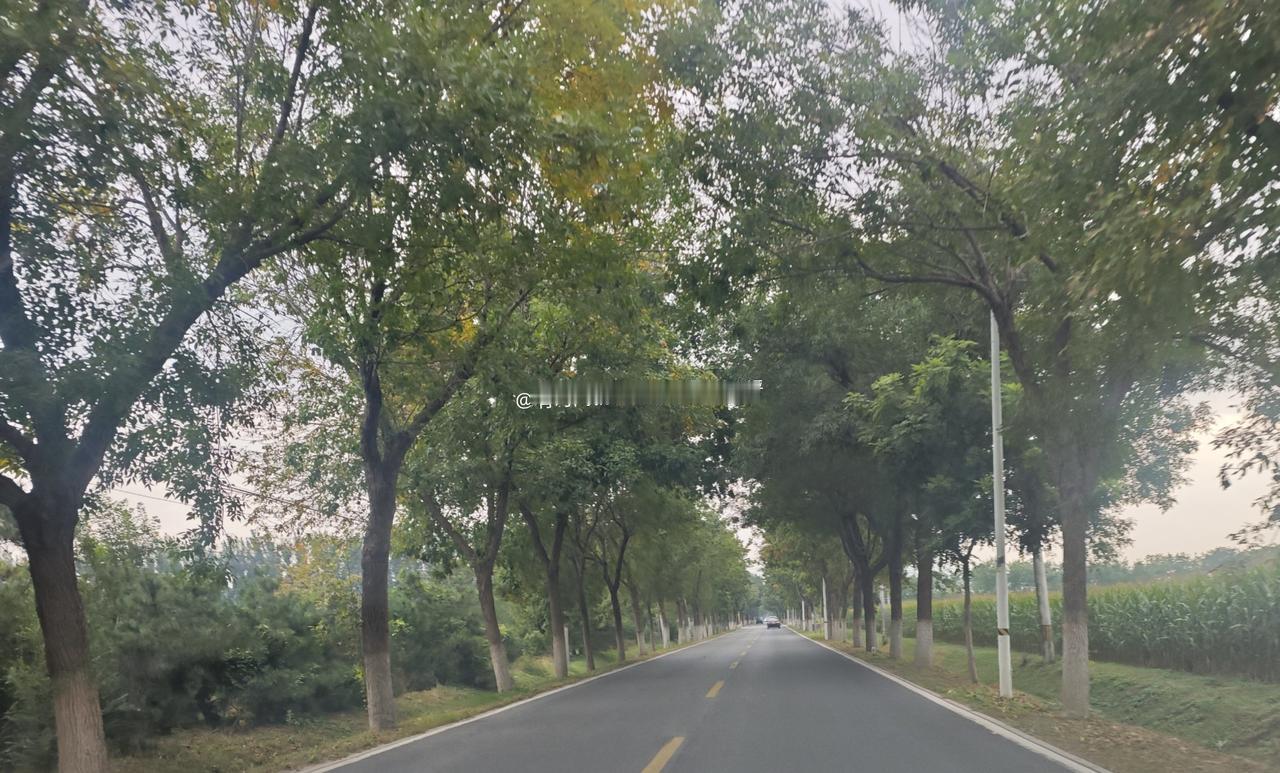 十一国庆假期，就按计划走趟昌平，从到了高下路到怀昌路几乎没车，可以提速，到了桃峪