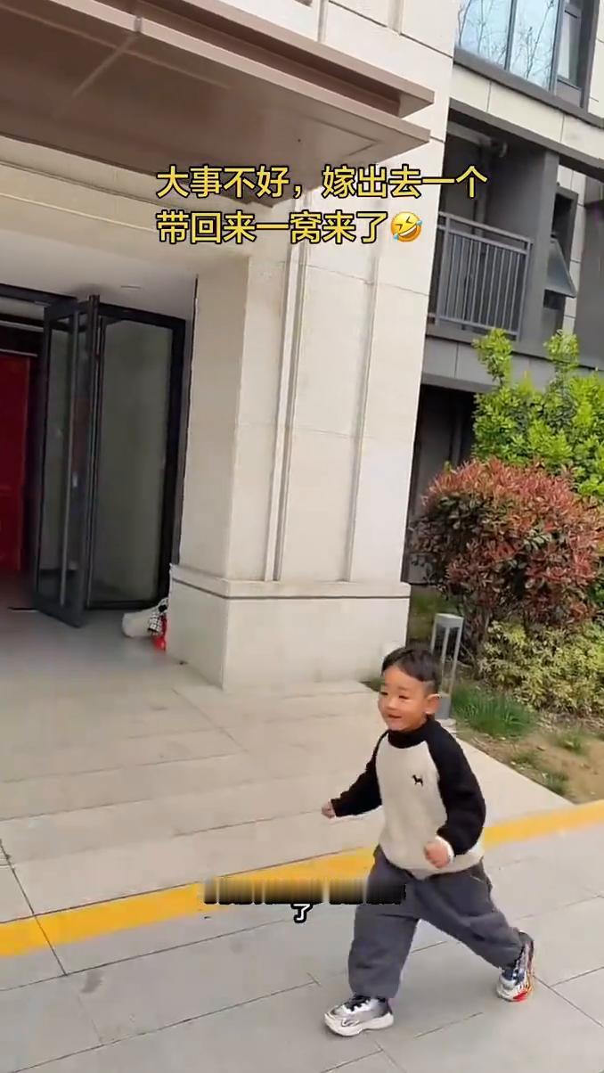 大事不好，嫁出去一个带回来一窝来了。燕子啊燕子没有你我怎么活？心被你掏空了梦被你