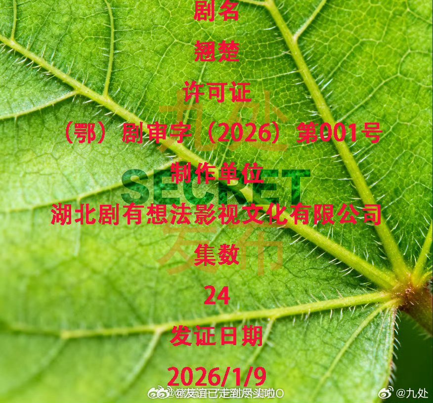 恭喜！陈都灵周翊然《翘楚》下证，快点抬上来