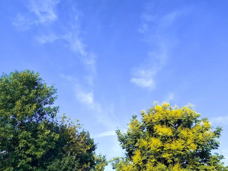 四川射洪的税女士考编考了第1名，却因学历问题政审不合格，这事真让人唏嘘。她201