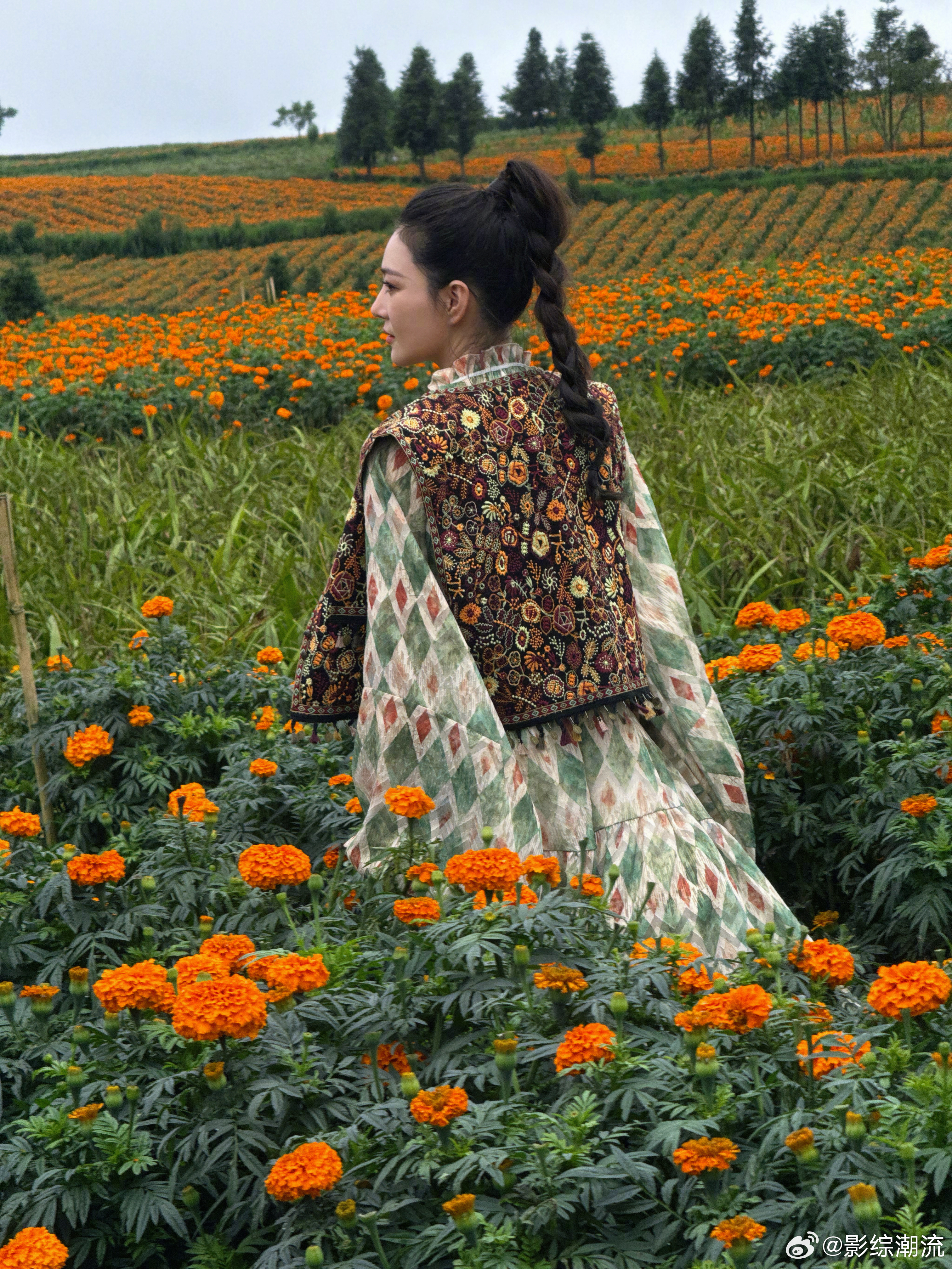 张馨予云南花海里画花花开中国 哇塞，张馨予在云南花海里画花的转场视频太惊艳啦！她