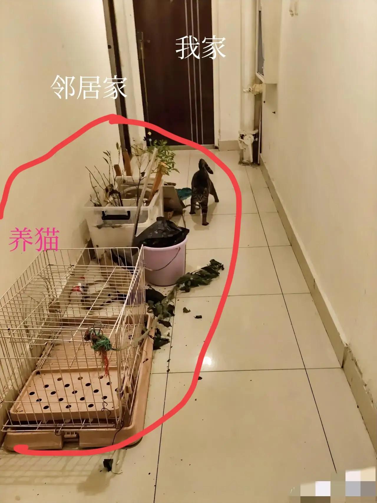 对付这样的邻居，这样治不算过分吧？[what]