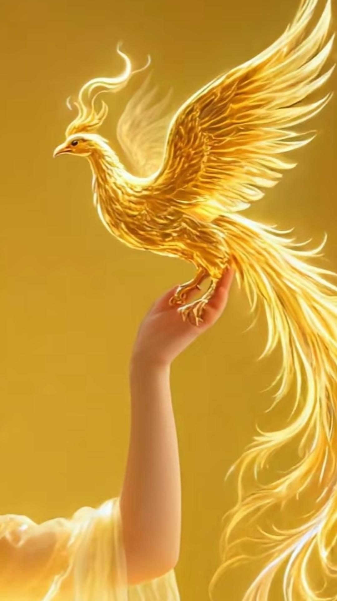 人活着发自己的光就好！何必吹灭别人的灯！