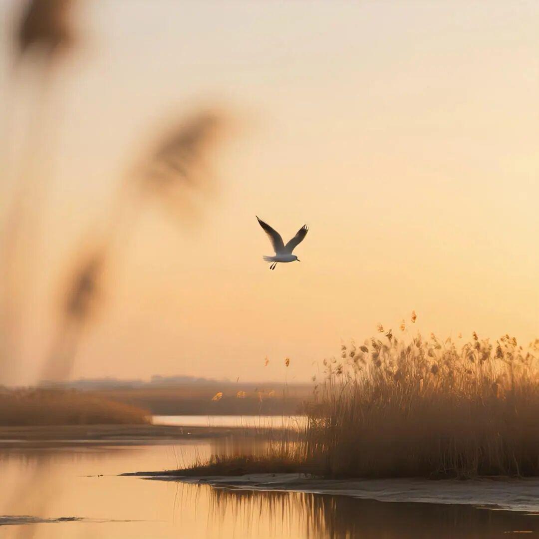 顶着一切热爱生活，才是真的酷 