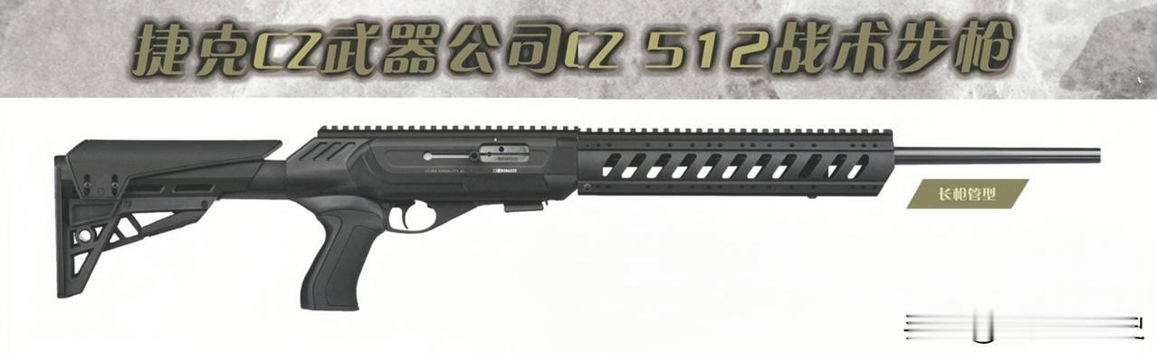 捷克CZ武器公司CZ 512战术步枪
捷克CZ武器公司美国分公司整了个“平民款”