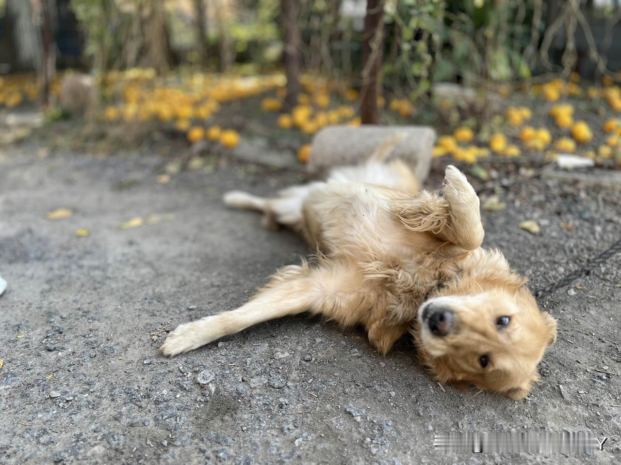 ‼️‼️这几天泰兴黄桥原配当街怒打小三的事件又传的家喻户晓了[捂脸]
    原