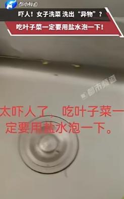 “太吓人了！”重庆，一女子在家清洗空心菜时，将菜叶捞出后竟发现水池底部躺着一条细