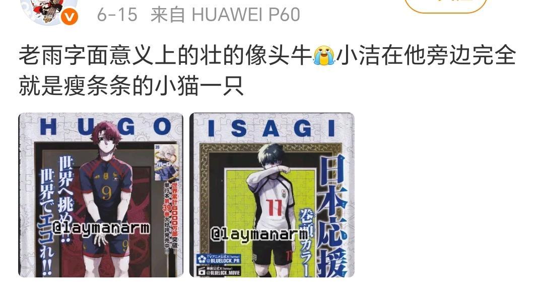 什么猫长的像牛蛙 