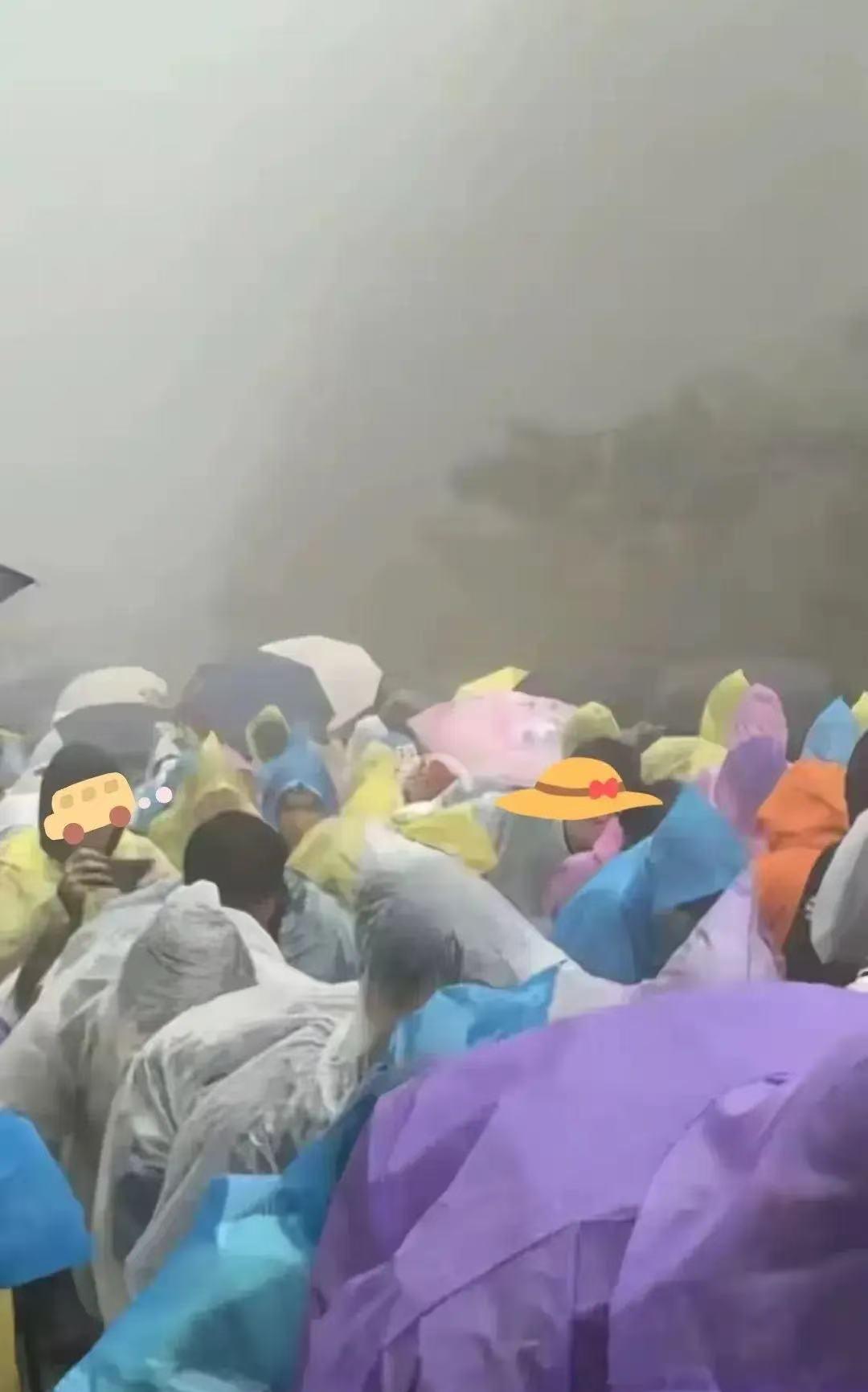 真搞不懂现在旅游的人，脑子到底咋想的。泰山下大暴雨，几万游客堵在陡坡台阶上动弹不