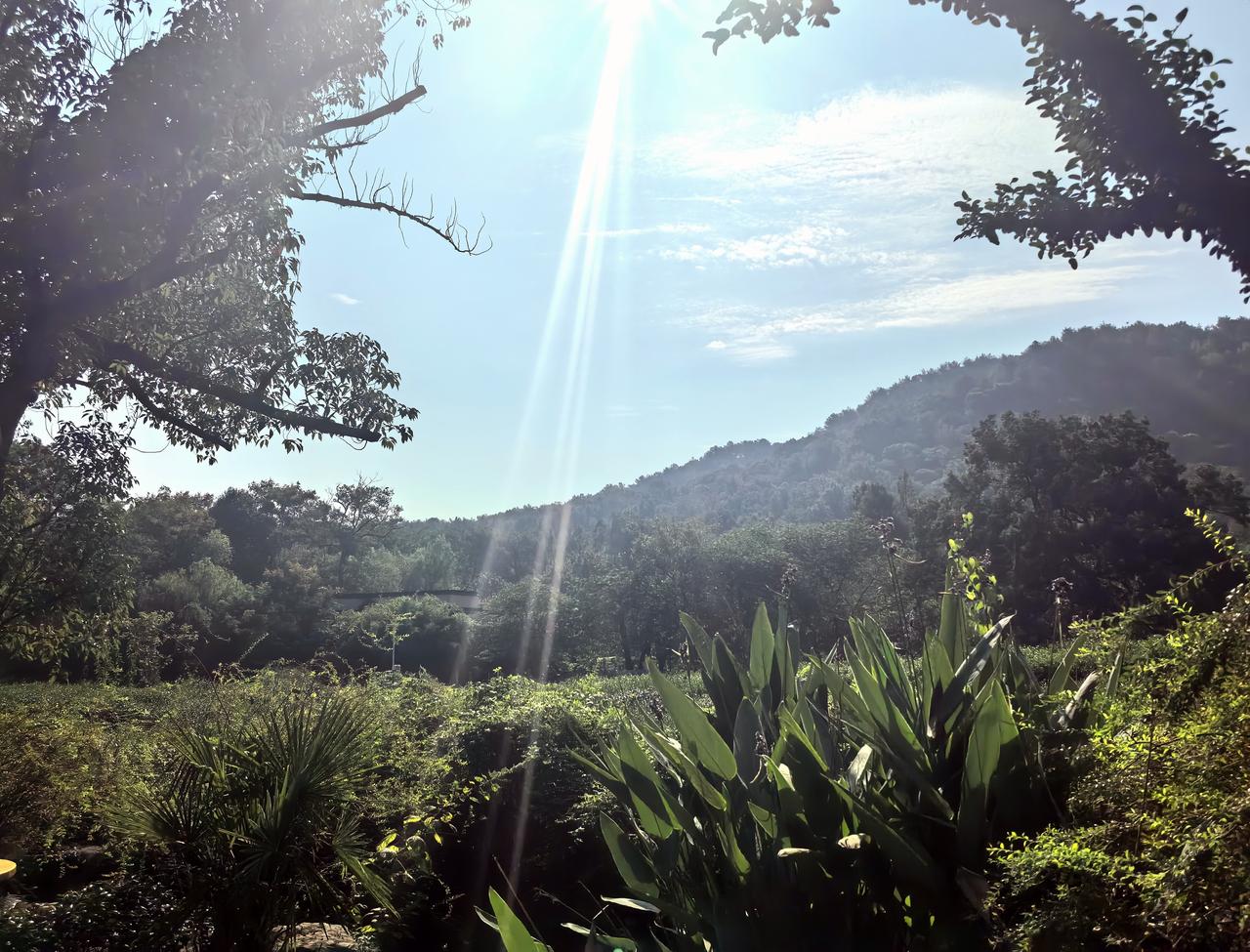 【热评】户外徒步中“搭子”的法律风险
户外徒步“搭子式组队”有哪些潜在风险 游客