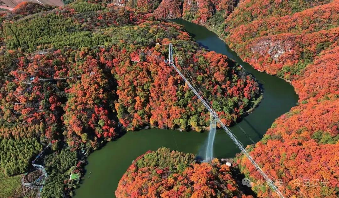 【执行力就是跳过情绪，直接做事】
        执行力这事儿，还真得跳过情绪直