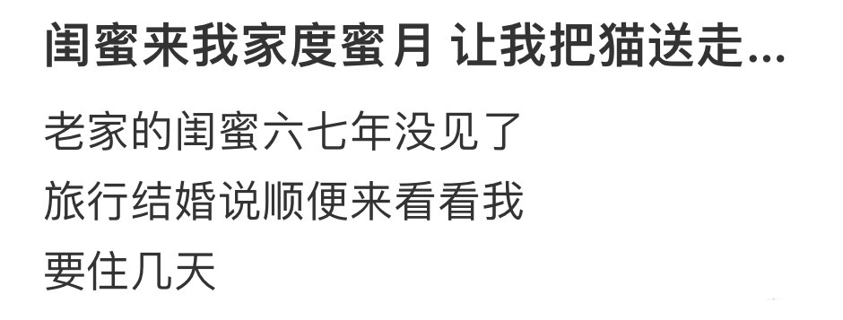 闺蜜来我家度蜜月，让我把猫送走 ​​​