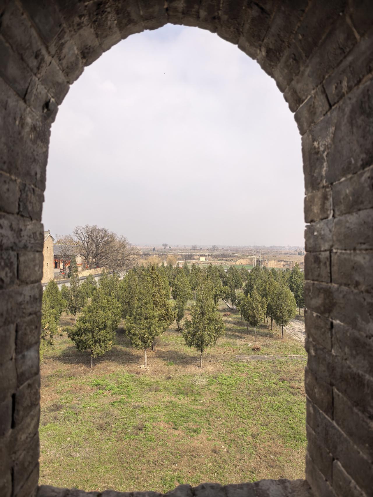 记录我的2026窗外变绿了，田园的变化静静的发生，这种只有乡村才能看见的景色，人