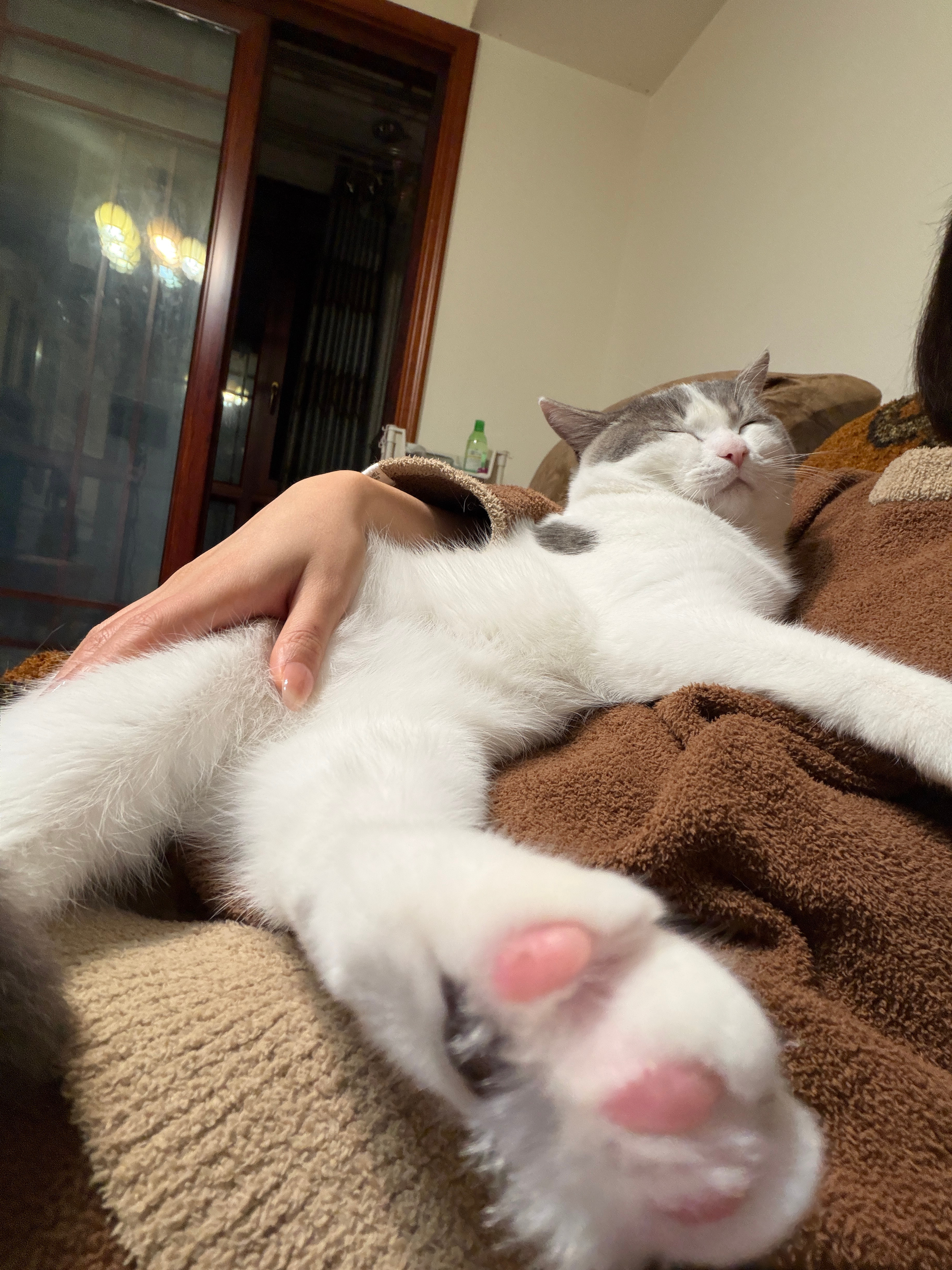 今日要闻： ​​​