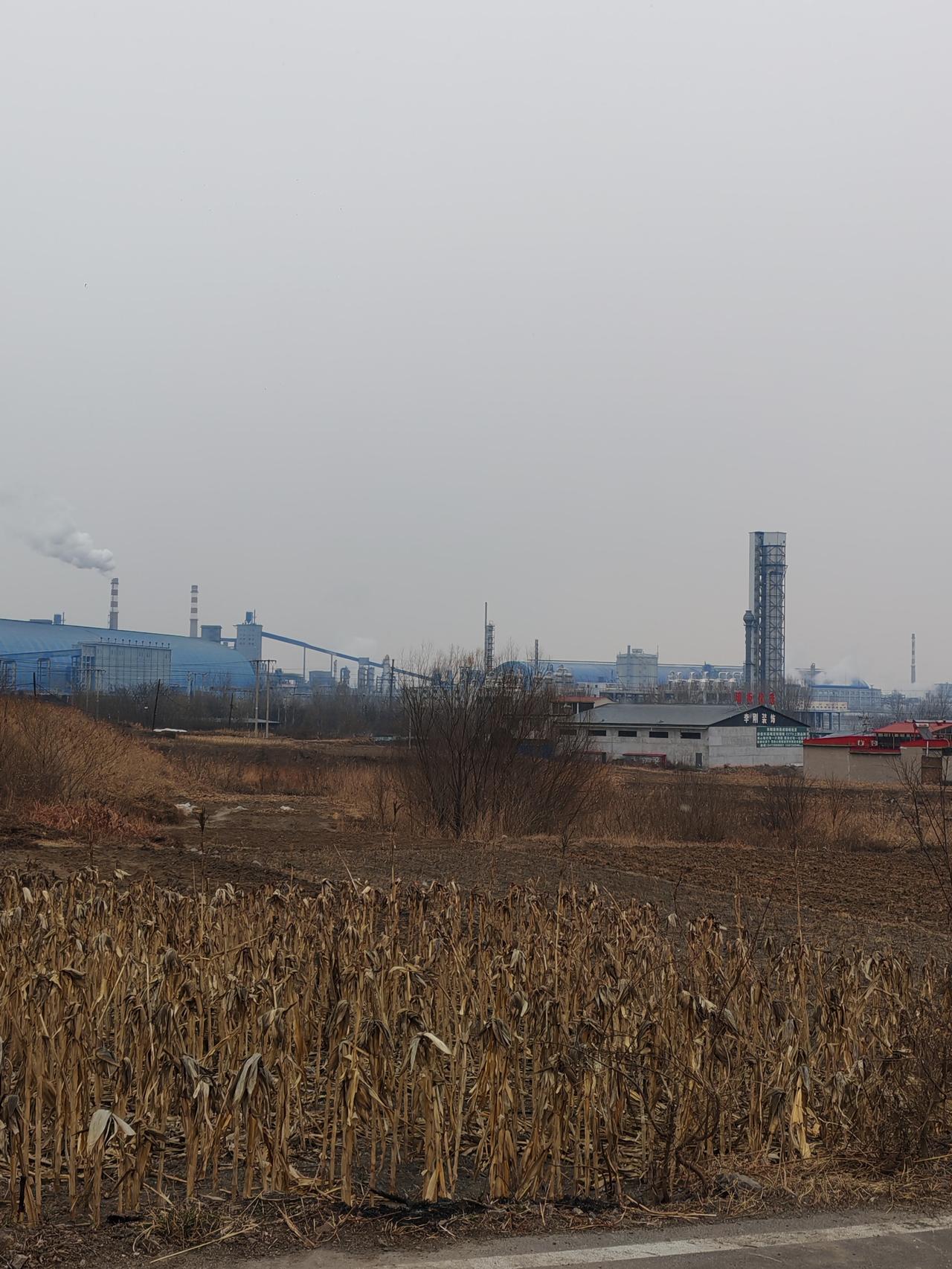 世界第一大岛格陵兰岛的闹剧落下帷幕。
口无遮拦、反复无常的特朗普争足了老大的面子